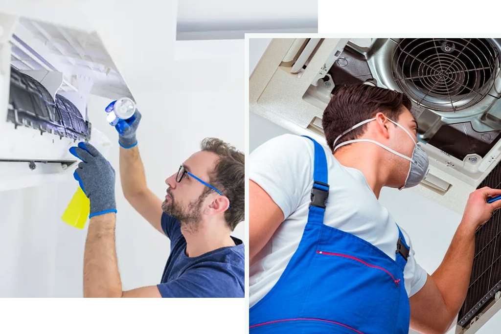 Business Services